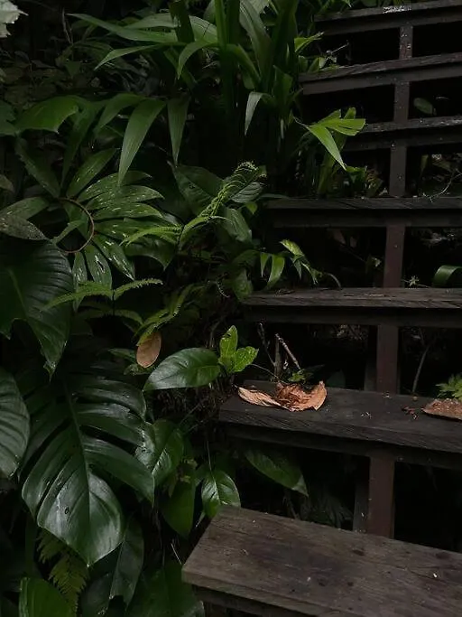 Ubud Zen River House, Secluded Tranquil Retreat In Nature Indonesia
